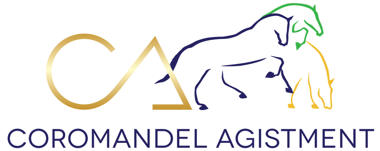 Coromandel Agistment